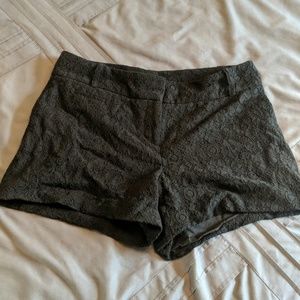 Loft Shorts
